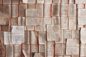 come creare web reputation