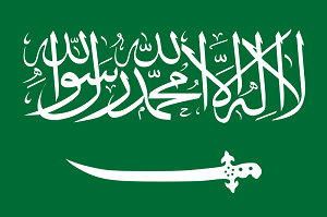 flag 800 saudi arabia reputationup