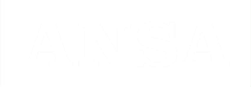 ansa logo bianco