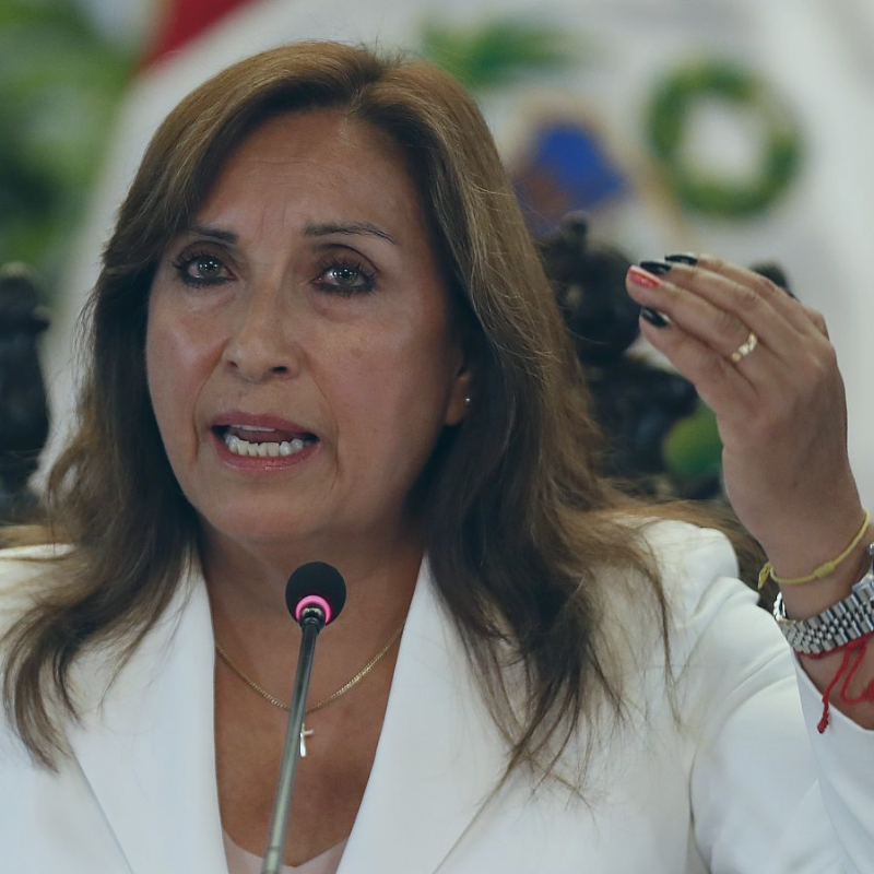 DINA DUARTE Reputationup