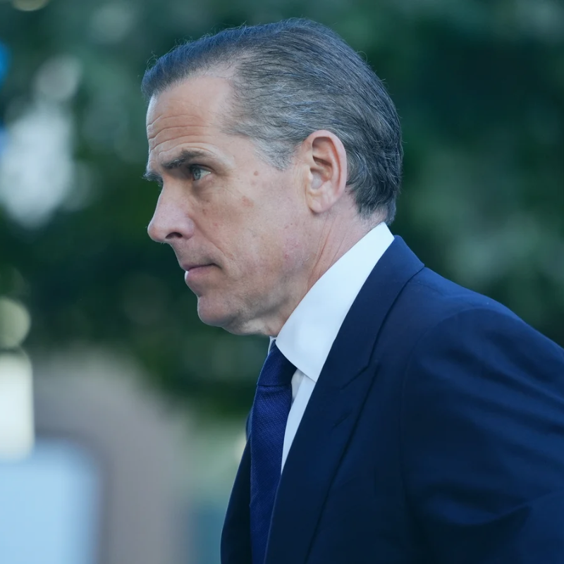 Hunter Biden ReputationUP