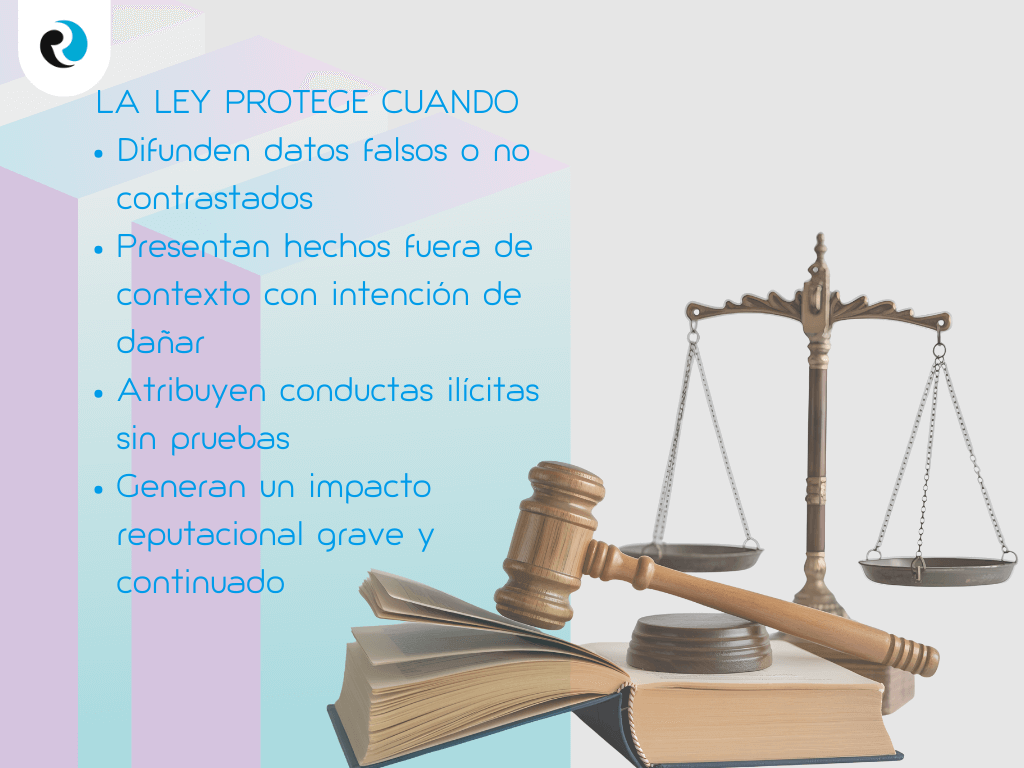 PROTECCION DE LALEYREPUTATION UP